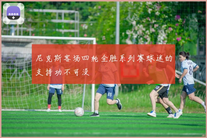 尼克斯客场四轮全胜系列赛球迷的支持功不可没